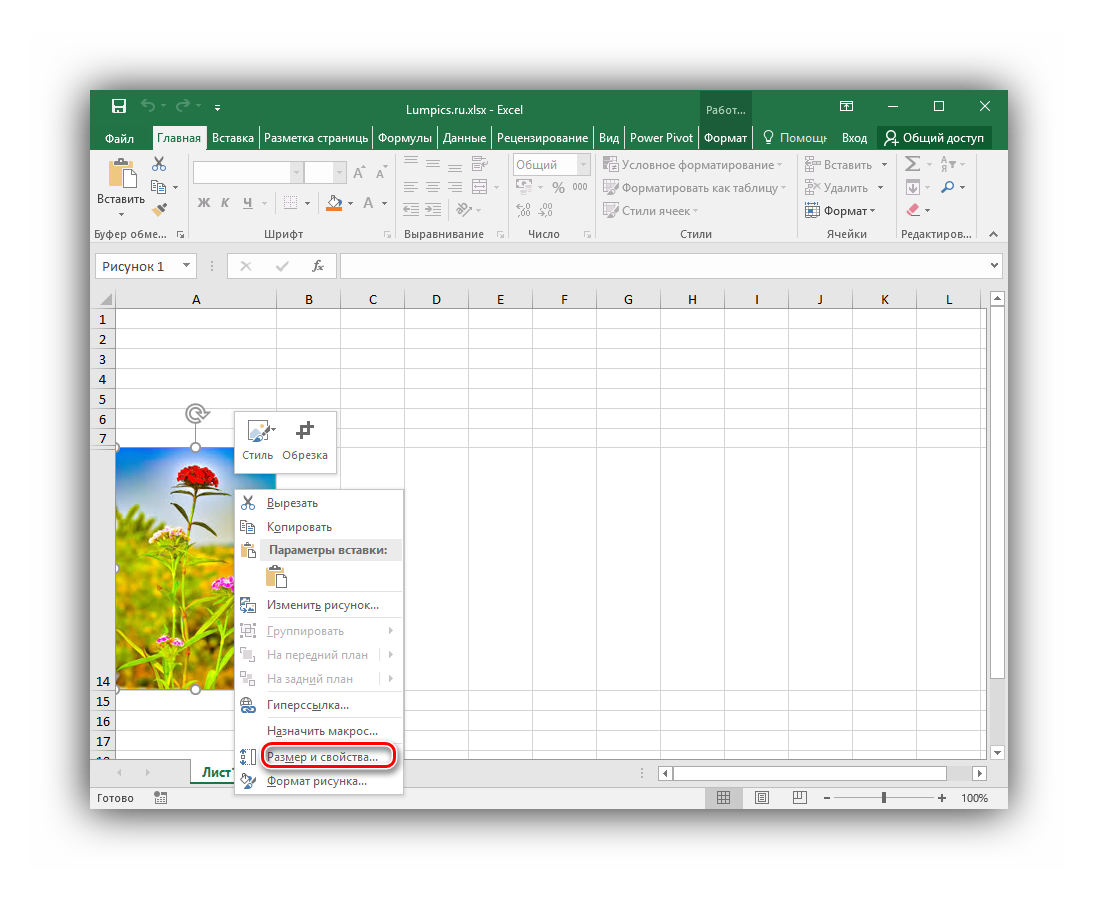 Вызов контекстного меню изображения и выбор пункта Размер и свойства в Microsoft Excel