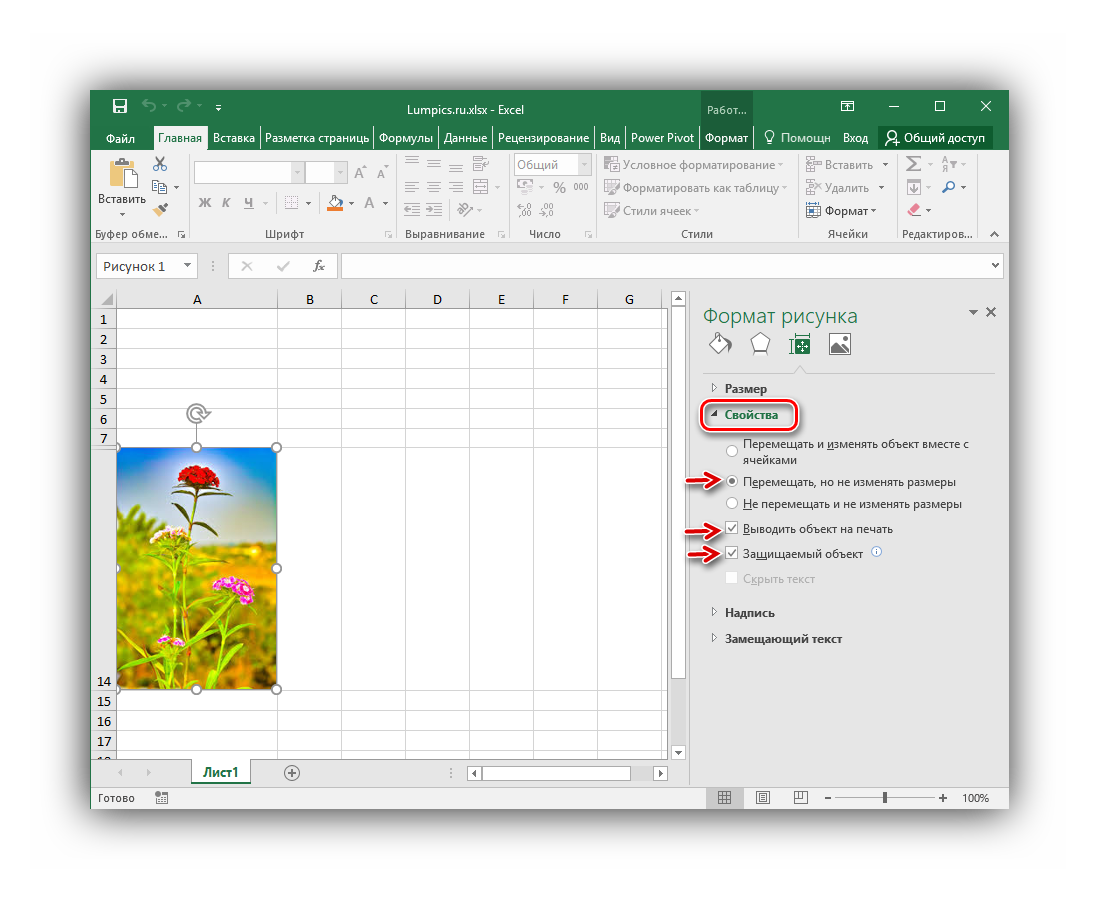 Настройки раздела Свойства окна Формат рисунка в Microsoft Excel